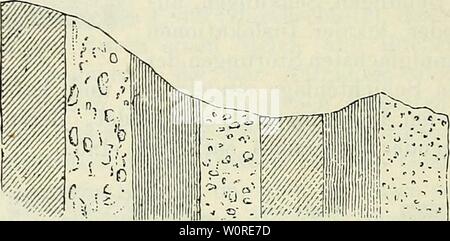 Archiv Bild von Seite 385 des "Beobachter"; allgemeine Anleitung zu. "Der Beobachter"; allgemeine Anleitung zu Beobachtungen über Land und Leute für Touristen, Exkursionisten und Forschungsreisende. / Dm 'Manuel du Voyageur", unter Mitwirkung des Verfassers derbeobachterall 00 kalt Jahr: 1883 Abb. 123. Horizontale Lageruns Abb. 124. Schiefe oder geneigte-Lagerung. Abb. 125. Vertikale Lagerung. Eine Linie, welche man sich über die Scheitelpunkte ge-wölbter (konvexer) Schichten gezogen denkt und von aus nicht Schichten / Nummern-oper Seiten hin abfallen, nennt man Löwen sterben Stockfoto