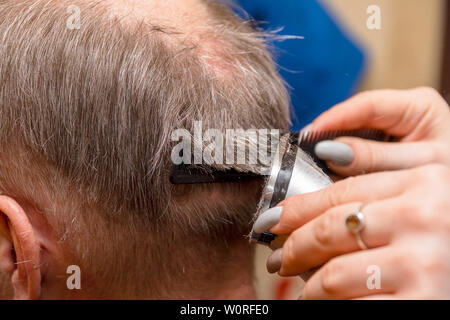 Frau Friseur schneidet die Haare des Mannes mit elektrischer Haarschneider Trimmer. Selektiver Fokus Stockfoto