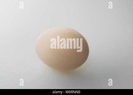 Ein Ei isoliert auf weißem Hintergrund Stockfoto