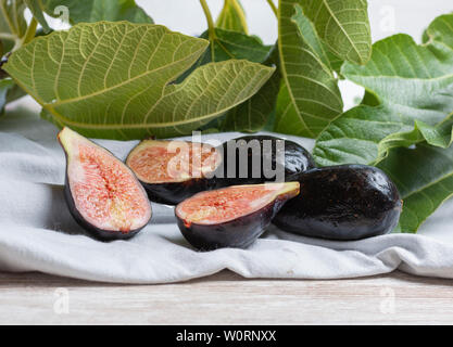 Reifen Feigen frisch gepflückt vom Feigenbaum. Stockfoto