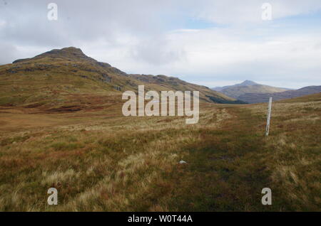 Der Loch Lomond und Cowal Weg. Halbinsel Cowal. Hochland. Schottland. Großbritannien Stockfoto
