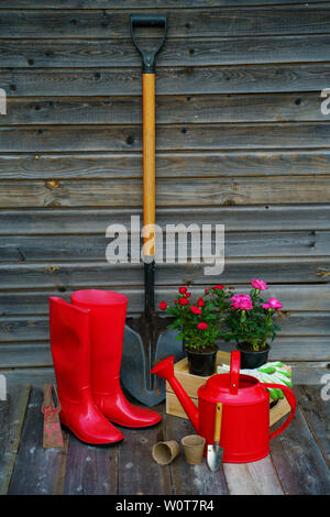 Schaufel, Gießkanne, Gummistiefel, Karton mit Blumen, Handschuhe und Garten Werkzeuge gegen auf Hintergrund Holz- wand von Gartenhaus Stockfoto
