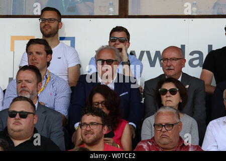 Auch Präsident/Praesident Fritz Keller (Freiburg) und SBFV-Präsident Thomas Schmidt verfolgten das SBFV-Pokal Finale 2017/18: FC 08 Villingen - SV Linx Stockfoto