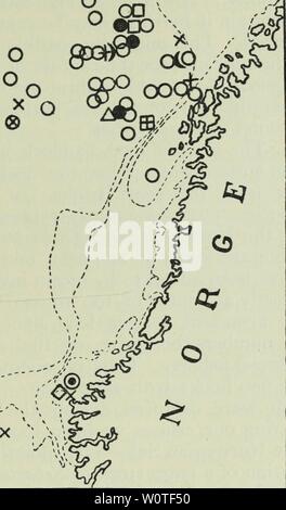 Archiv Bild ab Seite 684 von den Tiefen des Ozeans;. Die Tiefen des Ozeans; ein allgemeines Konto der modernen Wissenschaft der Ozeanographie weitgehend auf die wissenschaftlichen Forschungen der Norwegischen Dampfgarer Michael Sars im Nordatlantik depthsofoceange 00 murr Jahr: 1912 PELAGISCHE TIERWELT 647 von denen wir konkrete Informationen über die Vorkommen Der hering besitzen. Der Heringe, gadids und Sebastes über tiefem Wasser. Die meisten der#s00, o-gi3 ein en O O® • CD, "Q L XX. . V; £ - XMg XX ,-;-'/Zetland Abb. 482.- gefangenen Tiere in großen Tiefen in der Norwegischen See. Die isoba Stockfoto