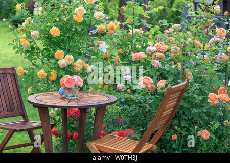 Romantische Sitzecke im Rosengarten, runden Holztisch und Stühlen in der Nähe der grossen blühenden Büschen der Englischen Rosen Stockfoto