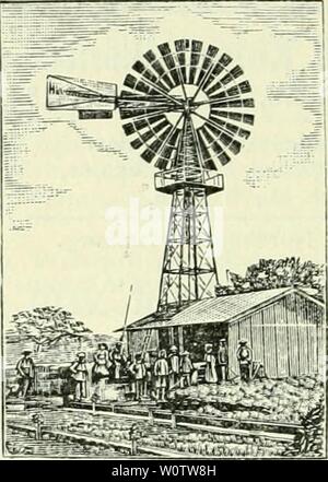 Archiv Bild ab Seite 873 von Der Tropenpflanzer; Zeitschrift fr tropische Stockfoto