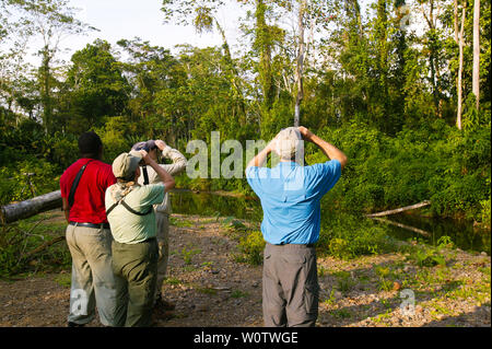 Vogelbeobachter im Regenwald in der Nähe von Cana Field Station in den Darien Nationalpark, Republik Panama. Kana ist eines der Top Ten birding Spots der Welt. März, 2008. Stockfoto