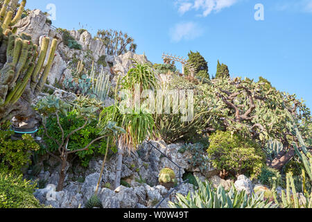 MONTE CARLO, MONACO - 20. AUGUST 2016: Der exotische Garten weg Klippe mit seltenen sukkulenten Pflanzen an einem sonnigen Sommertag in Monte Carlo, Monaco. Stockfoto