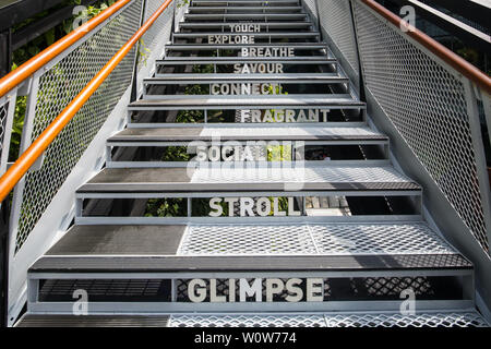 Treppe geschnitzt mit verschiedenen Wort an Funan Einkaufszentrum Dachterrasse, Singapur Stockfoto