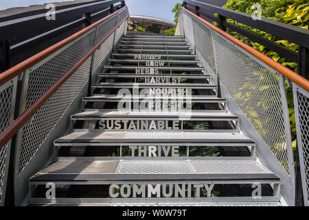 Treppe geschnitzt mit verschiedenen Wort an Funan Einkaufszentrum Dachterrasse, Singapur Stockfoto