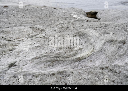 Surreale vulkanischen Mondlandschaft (vulkanischen Boden) Zuckerrohr Malu in Bosa in Italien (Sardinien) Stockfoto