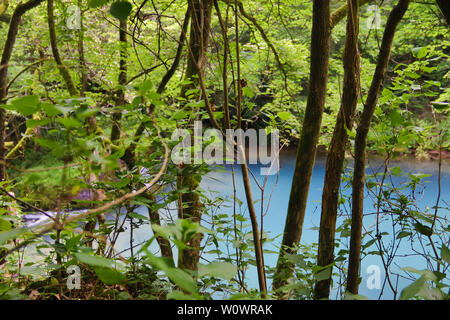 Erstaunlich schöne Bergquelle mit himmlischen blauen Wasser Farbe und kleinen Wasserfall namens Krupajsko Vrelo (Frühjahr), in der Nähe von Krupaja Krupaj Stockfoto