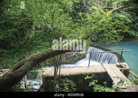 Erstaunlich schöne Bergquelle mit himmlischen blauen Wasser Farbe und kleinen Wasserfall namens Krupajsko Vrelo (Frühjahr Krupaj) Stockfoto