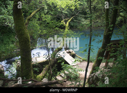 Erstaunlich schöne Bergquelle mit himmlischen blauen Wasser Farbe und kleinen Wasserfall namens Krupajsko Vrelo (Frühjahr Krupaj) Stockfoto