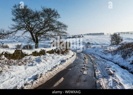 Ländliche Winterlandschaft mit Straße teilweise gelöscht von Schnee Stockfoto