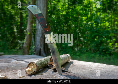 Taschenmesser aufrecht durch den Punkt in einem alten Holz- Picknick Tisch verklemmt auf einem Campingplatz in einem grasbewachsenen Lichtung in einem Wald oder den Wald im Hintergrund Stockfoto