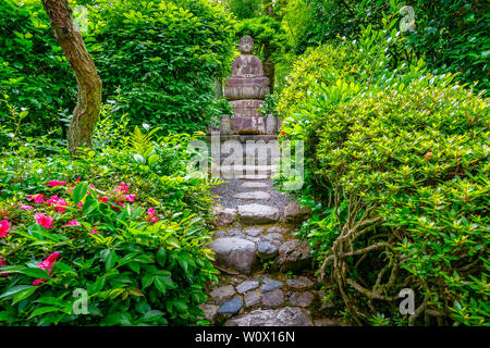 Besichtigen bei Regen Stockfoto