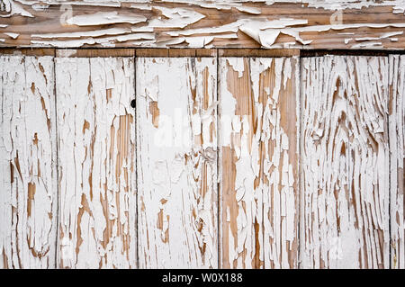Original weiß lackierten Brettern der Alten texturierte Wand. Risse in der alten Farbe. Stockfoto
