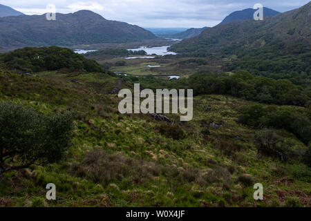 Der berühmte Ladies View, der auf dem Ring of Kerry im Nationalpark Killarney Irland, an einem bewölkten Tag Stockfoto