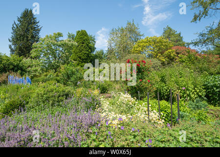 Sir Harold Hillier Gardens (Arboretum) an einem sonnigen Tag im Juni, Hampshire, UK. Die 100-Grenze mit einer Vielzahl von Sommerblumen. Stockfoto