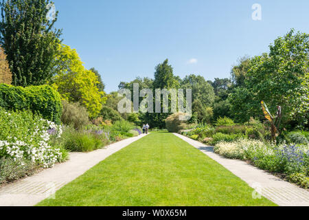 Sir Harold Hillier Gardens (Arboretum) an einem sonnigen Tag im Juni, Hampshire, UK. Die 100-Grenze mit einer Vielzahl von Sommerblumen. Stockfoto