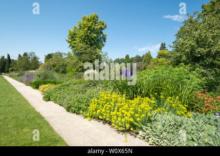 Sir Harold Hillier Gardens (Arboretum) an einem sonnigen Tag im Juni, Hampshire, UK. Die 100-Grenze mit einer Vielzahl von Sommerblumen. Stockfoto