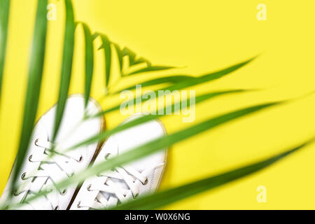 Weißen Turnschuhen liegen im Schatten der Palme auf gelben Hintergrund. Stockfoto