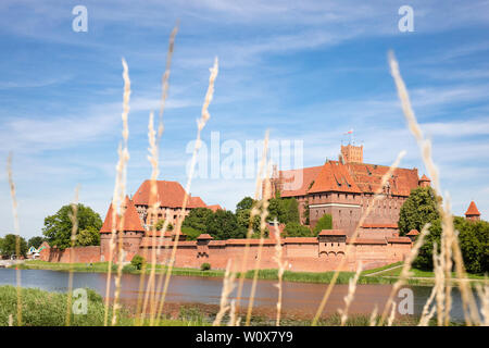 Das Castel in Malbork (Marienburg) als aus dem Fluss Fluß Nogat gesehen. Teutonic Knights Architektur in Polen. Stockfoto