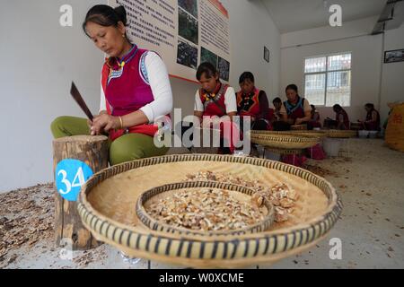 (190628) - Kunming, Juni 28, 2019 (Xinhua) - Leute von Lisu ethnische gruppe Schale Walnüsse in einer Werkstatt eines Umsiedlung in Daxingdi Stadt, Lisu Autonomen Präfektur Nujiang, im Südwesten der chinesischen Provinz Yunnan, 24. Juni 2019. Lisu Leute haben zu einer neuen Gemeinschaft von Unlivable Berggebiete durch die Linderung der Armut, die durch die lokale Regierung verlagert. Zhiguo Minderheiten sind spezielle Mitglieder der 56 ethnischen Gruppen in China. Der Begriff Zhiguo zu Minderheiten, die vor Modernisierung, relativ isoliert gelebt hatte und übersprang die Übergangszeit mit Fehde verbunden bezieht sich Stockfoto