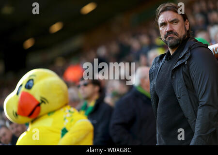 Manager von Norwich City, Daniel Farke sieht mit Club Maskottchen, Kapitän Kanarische Inseln - Norwich City v Bristol City, Sky Bet Meisterschaft, Carrow Road, Norwich - 23. Februar 2019 Editorial nur verwenden - DataCo Einschränkungen Stockfoto