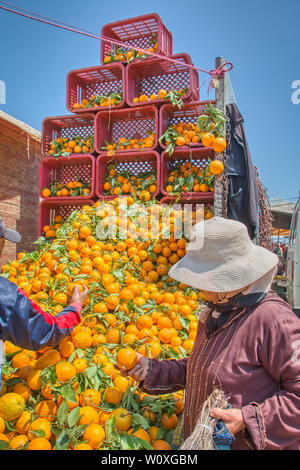 Oued Laou, Tetouan, Marokko - 4. Mai 2019: Marokkanische Frauen kaufen Orangen im Souk von Oued Laou, wo jeden Samstag einen traditionellen Markt eingerichtet ist Stockfoto