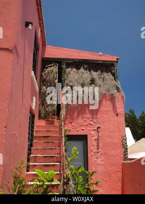 Moos bedeckt Fenster und Tür auf eine kleine Seitenstraße in St. George, Bermuda. Sehr einzigartige Bermuda home brauchen Pflege. Stockfoto