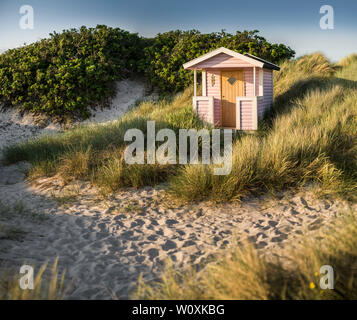 Beach Hut und Sanddünen am Strand Skanor, Skane, Schweden, Skandinavien Stockfoto