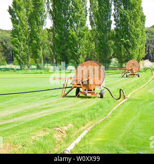 Metall irrigator in einem grünen gemähten Rasen Stockfoto