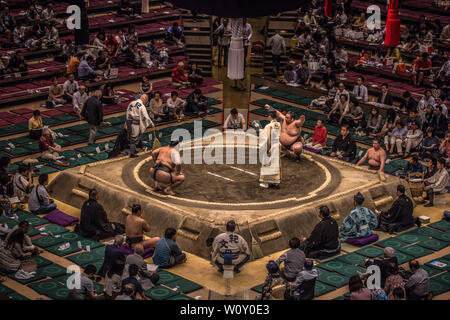 Tokio - 19. Mai 2019: Sumo Ringen in der Ryogoku Arena, Tokio, Japan Stockfoto