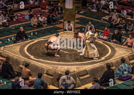 Tokio - 19. Mai 2019: Sumo Ringen in der Ryogoku Arena, Tokio, Japan Stockfoto