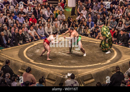 Tokio - 19. Mai 2019: Sumo Ringen in der Ryogoku Arena, Tokio, Japan Stockfoto