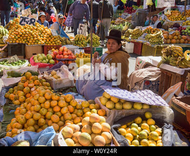 Traditionelle cholita verkaufen Orangen im Mercado Rodriguez Markt, La Paz, Bolivien Stockfoto