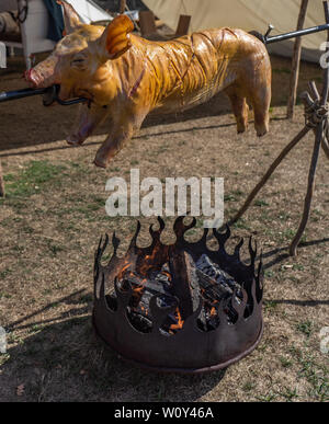 Ein ganzes kleines Schwein am Spieß über einem Feuer aufgehäuften Logs gebraten und gegrillt, Deutschland Stockfoto