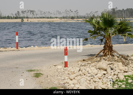 Ägypten, Ismallia, Kläranlage, das behandelte Wasser für die Bewässerung der Sarapium Wald in der Wüste/AEGYPTEN, Ismailia, Klaerwerk verwendet, das gereinigte Abwasser wird zur bewaesserung des Sarapium Forstprojekt in der Wueste genutzt Stockfoto