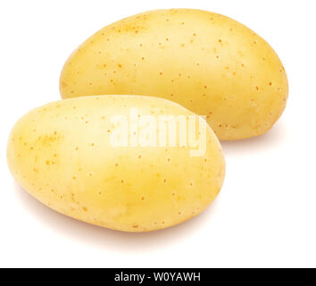 Zwei schöne ganze Kartoffeln auf weißem Hintergrund Stockfoto