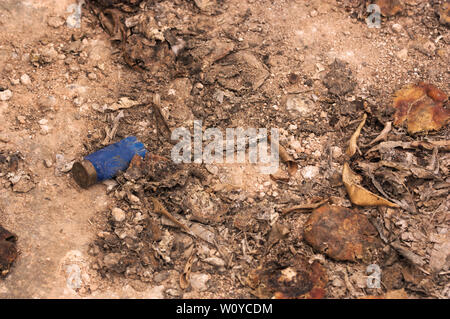 Eine verlassene Patrone in das Feld nach von einem Jäger Gewehr verwendet wird Stockfoto