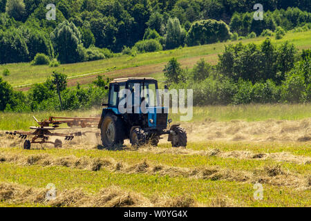 Einen alten Traktor schaltet in den gemähten Heu an einem sonnigen Sommermorgen für eine bessere Trocknung. Futter für Kühe für den Winter. Stockfoto