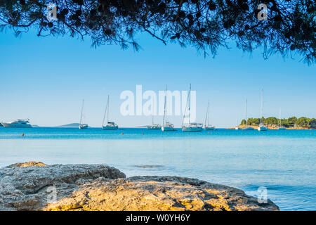 Malerischer Blick auf kosirina Beach Bay auf der Insel Murter in Kroatien, verankert, Segelbooten und Yachten auf dem blauen Meer, Aussicht durch die Kiefern Stockfoto