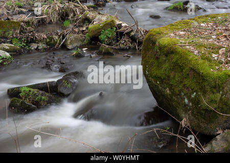 Wasser über Bemooste Steine in einem kleinen Bach rauschen Stockfoto