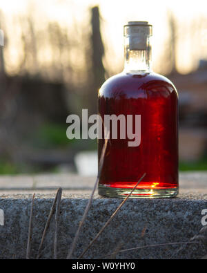 Flasche hausgemachten Rotwein Stockfoto