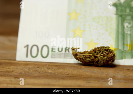 Ein Cannabis bud liegt auf einem hundert Euro bill Close-up. Kauf und Verkauf der Legalisierung weicher Drogen. medizinischen Cannabis Geschäftskonzept. Stockfoto