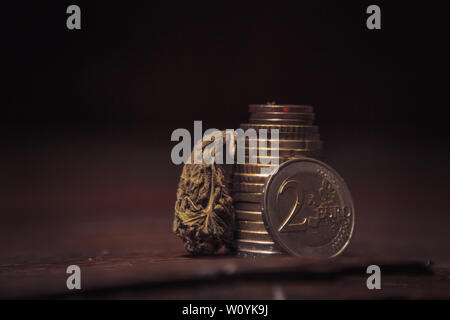 Cannabis bud liegt unter Euro-Münzen close-up. Kauf und Verkauf der Legalisierung weicher Drogen. Billig, medizinischen Cannabis Geschäftskonzept. Stockfoto