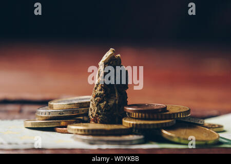 Cannabis bud liegt unter Euro-Münzen close-up. Kauf und Verkauf der Legalisierung weicher Drogen. Billig, medizinischen Cannabis Geschäftskonzept. Stockfoto