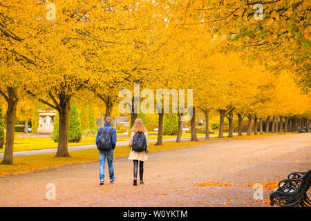 London, Großbritannien - 12 Oktober, 2018 - Rückansicht eines Paares zu Fuß auf eine Allee mit Bäumen im Regent's Park gesäumt Stockfoto